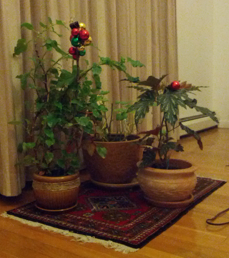 Illustration for article titled New Years' Traditions